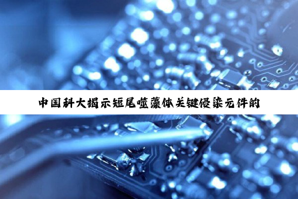 中国科大揭示短尾噬藻体关键侵染元件的原位组装模式