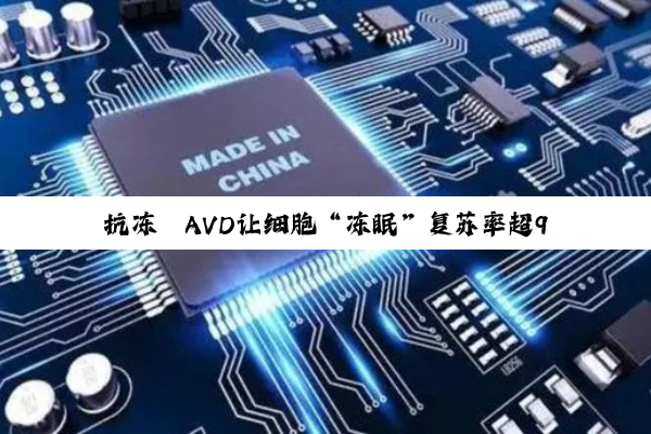 抗冻肽AVD让细胞“冻眠”复苏率超95%：冷冻医疗破解冰晶损伤难题