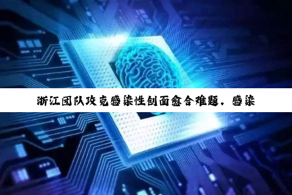 浙江团队攻克感染性创面愈合难题，感染与促愈合的双重突破
