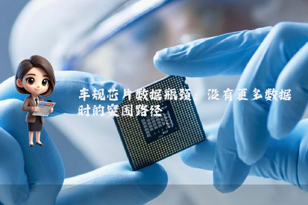 车规芯片数据瓶颈：没有更多数据时的突围路径