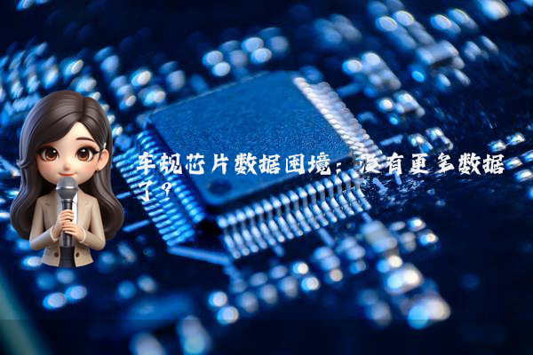 车规芯片数据困境：没有更多数据了？