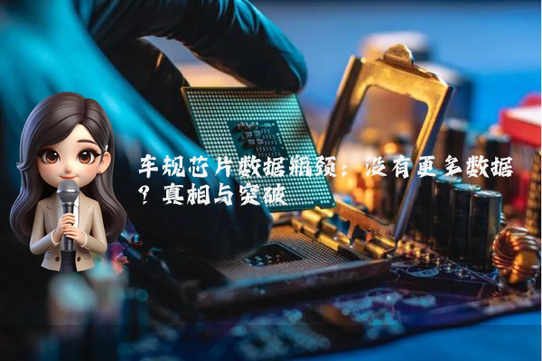 车规芯片数据瓶颈：没有更多数据？真相与突破