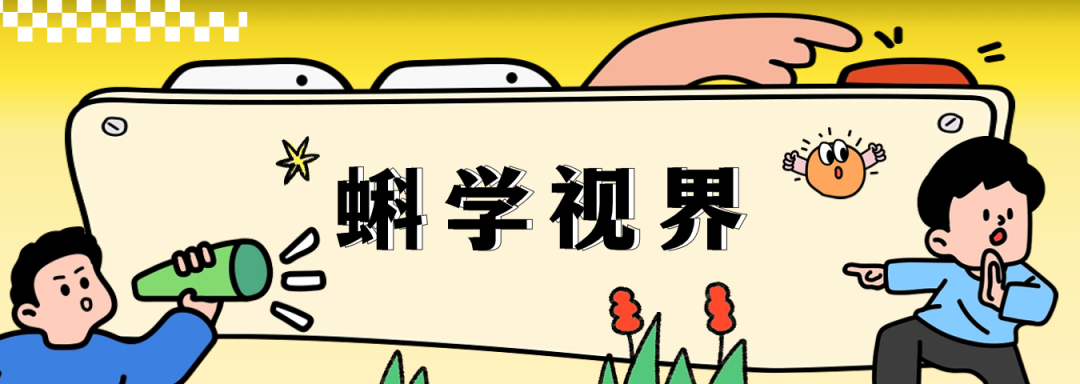 深夜emo被AI治愈？揭秘DeepSeek的“高情商”话术